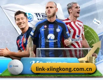 link-xiingkong.com.cn的故事 - 体育资讯内容服务 | xingkong